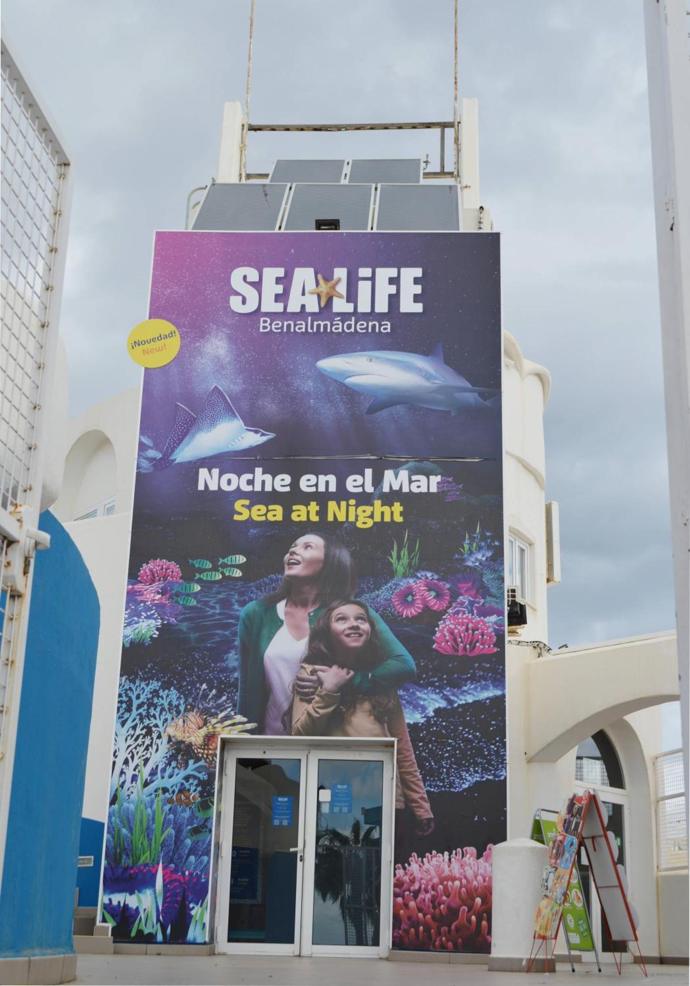 Apart With Swimming Pool Open All Year Benalmádena Eksteriør bilde